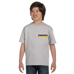 Light Gray Pangea Yellow Graphic Youth Tee